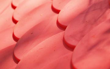 Trash Green plastic roof costs